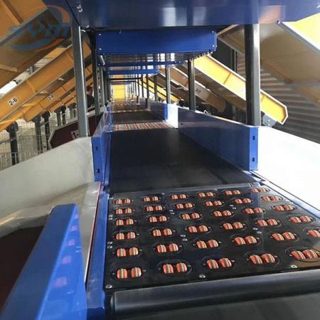 Sortation Conveyor,Roller Conveyor